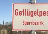 Stallpflicht gilt weiter – Geflügelinfluenza: Sperrbezirk aufgehoben