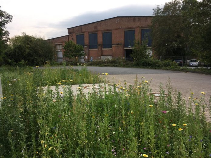 Blick auf die Lokrichthalle September 2024 - Foto Sabine Totzauer