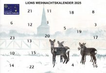 Es weihnachtet bereits! Die Caelestia-Adventskalender 2025 sind da
