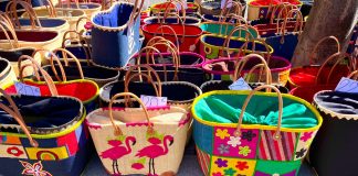 Canva, Yoga und Sprachen intensiv erleben