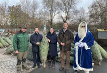 500 Weihnachtsbäume für Schwerte