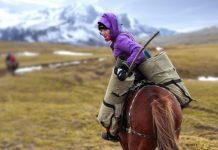 Launige Lehnstuhlreise mit Hindernissen