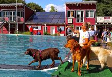 Fast 1.000 Besucher verabschieden den Sommer im Elsebad