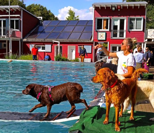 Fast 1.000 Besucher verabschieden den Sommer im Elsebad