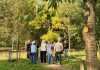 Ein Baum für die Erinnerung an Sternenkinder