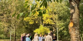 Ein Baum für die Erinnerung an Sternenkinder